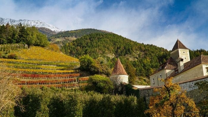 Basiskurs Rutengehen und Pendeln in Südtirol