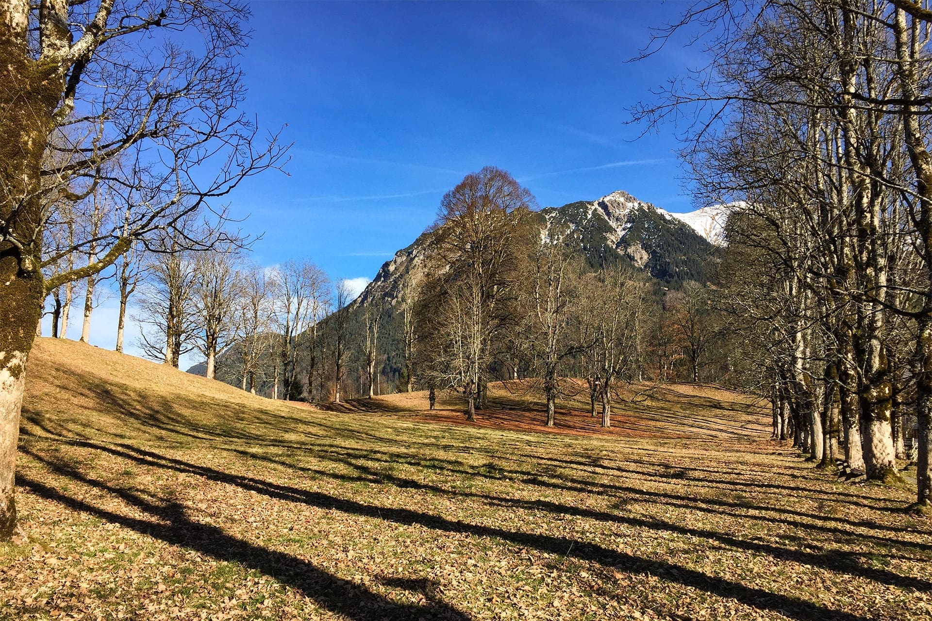 Read more about the article Schätze unserer Heimat – Allgäu