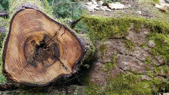 Holz und Stein