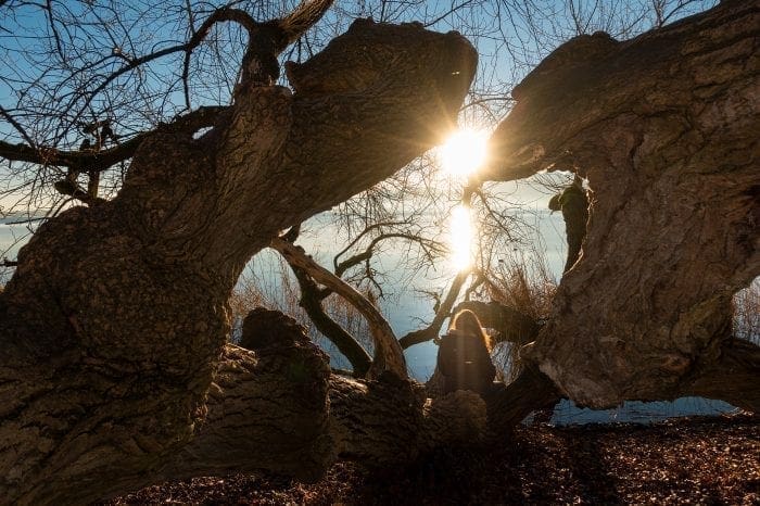 Lichtmess Sonnenaufgang auf der Fraueninsel