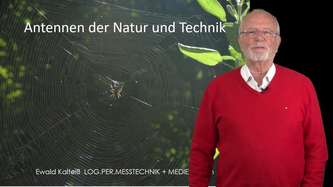 Online-Vortrag Antennen der Natur und der Technik