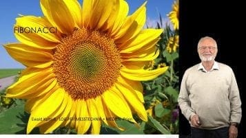Fibonacci und Zahlen in der Natur