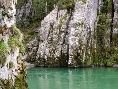 Online Vortrag Wasser – ein Stück Lebenskraft